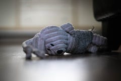 Giocattolo del cane sul pavimento triste immagine stock Giocattolo del cane sul pavimento triste immagine stock