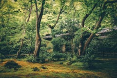 Giontempel, Kyoto, Japan stock foto Giontempel, Kyoto, Japan stock foto