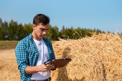 Giovane agricoltore con una compressa accanto ad un mucchio di fieno nel campo, raccolto, industria, coltivante, valutazione, aff immagine stock Giovane agricoltore con una compressa accanto ad un mucchio di fieno nel campo, raccolto, industria, coltivante, valutazione, aff immagine stock
