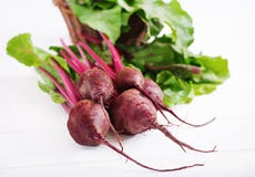 Giovane barbabietola immagini stock Giovane barbabietola immagini stock