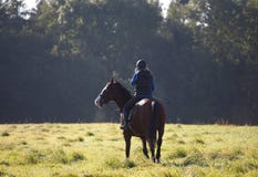Giovane donna che monta un cavallo nel campo aperto fotografia stock libera da diritti Giovane donna che monta un cavallo nel campo aperto fotografia stock libera da diritti