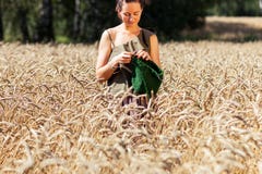 Giovane donna che tricotta sul giacimento di grano fotografia stock Giovane donna che tricotta sul giacimento di grano fotografia stock