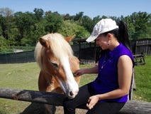 Giovane donna con il cavallo fotografia stock libera da diritti Giovane donna con il cavallo fotografia stock libera da diritti