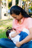 Giovane madre che alimenta il suo bambino nel parco immagine stock Giovane madre che alimenta il suo bambino nel parco immagine stock