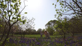 Giovane madre che cammina con un figlio del neonato su un campo del muscari in primavera - giorno soleggiato - giacinto dell'uva stock footage Giovane madre che cammina con un figlio del neonato su un campo del muscari in primavera - giorno soleggiato - giacinto dell'uva stock footage