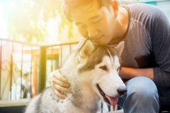Giovane proprietario maschio asiatico del cane che abbraccia e che abbraccia l'animale domestico del cane di Husky Siberian con a fotografia stock libera da diritti Giovane proprietario maschio asiatico del cane che abbraccia e che abbraccia l'animale domestico del cane di Husky Siberian con a fotografia stock libera da diritti