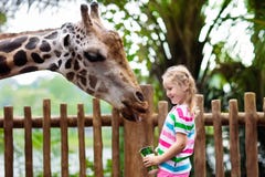Giraffa dell'alimentazione dei bambini allo zoo Bambini al parco di safari immagine stock Giraffa dell'alimentazione dei bambini allo zoo Bambini al parco di safari immagine stock