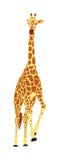 Giraffe vector illustration isolated on white background.Giraffe in gallop pose. stock illustration Giraffe vector illustration isolated on white background.Giraffe in gallop pose. stock illustration