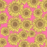 Girasol del bosquejo ilustración del vector Girasol del bosquejo ilustración del vector