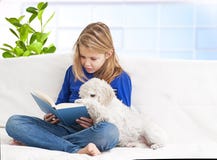 Girl And Little Puppies Stock Image