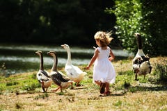 Girl Chasing Geese Stock Image Girl Chasing Geese Stock Image