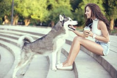 Girl Drinking Ice Coffee And Playing With Her Husky Dog In The Park Stock Images Girl Drinking Ice Coffee And Playing With Her Husky Dog In The Park Stock Images
