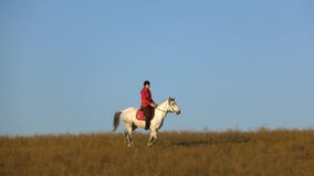 Girl riding a horse galloping across the field. Slow motion stock video Girl riding a horse galloping across the field. Slow motion stock video