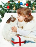 Girl Hugging A Cat Royalty Free Stock Images