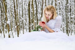 Girl In A Wedding Dress In Winter Royalty Free Stock Images