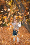 Girl Is Playing With Autumn Leaves Stock Image