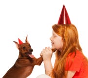 Girl play birthday party for pet dog royalty free stock images Girl play birthday party for pet dog royalty free stock images
