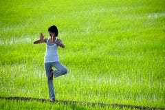 Girl Practicing Yoga,standing In Paddy Field Stock Images Girl Practicing Yoga,standing In Paddy Field Stock Images