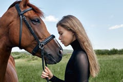 Girl rider stands next to the horse in the field. Fashion portrait of a woman and the mares are horses in the village in the grass royalty free stock photos Girl rider stands next to the horse in the field. Fashion portrait of a woman and the mares are horses in the village in the grass royalty free stock photos