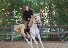 A girl riding an arabian white horse royalty free stock images A girl riding an arabian white horse royalty free stock images
