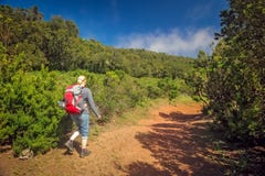 Girl trekking in Garajonay national park stock photography Girl trekking in Garajonay national park stock photography