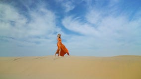 Girl Walks In Desert On Barkhan. Woman In Dress Walking On Sand-dune In Hot Desert Under Sun, Wind Ruffles Her Hair Royalty Free Stock Photo
