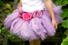 Girl Wearing A Ballet Tutu. Stock Image
