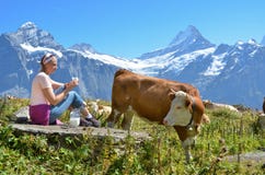 Girl With A Jug Of Milk And Cows Royalty Free Stock Photos Girl With A Jug Of Milk And Cows Royalty Free Stock Photos