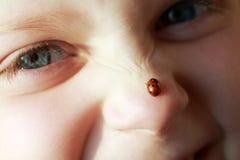 Girl With Ladybird Royalty Free Stock Photography