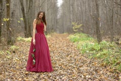 Girl With Rose In The Forest Stock Photography