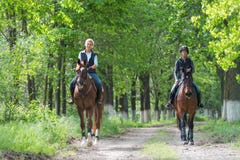 Girls On Horseback Riding Stock Image Girls On Horseback Riding Stock Image