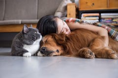 Girls sleep with cats and dogs royalty free stock photo Girls sleep with cats and dogs royalty free stock photo