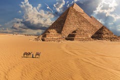 Giza pyramider och kamel i öknen under molnen, Egypten arkivfoto Giza pyramider och kamel i öknen under molnen, Egypten arkivfoto