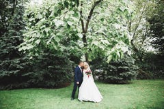 Gl?ckliche Hochzeitspaare, die in einen botanischen Park gehen lizenzfreies stockbild Gl?ckliche Hochzeitspaare, die in einen botanischen Park gehen lizenzfreies stockbild