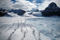 Glacier antarctique de fonte