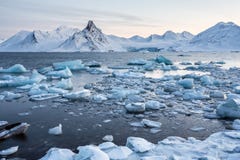 Glacier ice floating in the Arctic fjord - Spitsbergen stock photography Glacier ice floating in the Arctic fjord - Spitsbergen stock photography