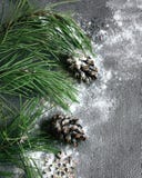 glad jul lyckligt nytt år Julgran och kottar i snön på en grå bakgrund för ett hälsa kort royaltyfri bild glad jul lyckligt nytt år Julgran och kottar i snön på en grå bakgrund för ett hälsa kort royaltyfri bild