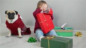 Glad liten flicka med ett stråla leendesammanträde på golvet med gåvor som tycker om jul med bära för familjhund stock video Glad liten flicka med ett stråla leendesammanträde på golvet med gåvor som tycker om jul med bära för familjhund stock video