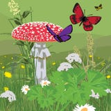 Glade With Fly Agaric Stock Photo Glade With Fly Agaric Stock Photo