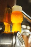 Glass of craft beer in a brewery royalty free stock photo Glass of craft beer in a brewery royalty free stock photo