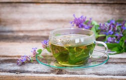 A glass cup of herbal catmint tea stock photography A glass cup of herbal catmint tea stock photography