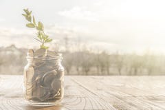 A glass jar full of golden coins and a growing plant stock photo A glass jar full of golden coins and a growing plant stock photo