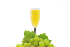 Glass Of White Wine Royalty Free Stock Photo