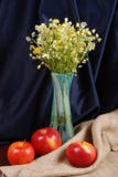 Glass Vase With Camomiles Stock Photo Glass Vase With Camomiles Stock Photo
