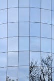 Glass windows facade of an office building reflecting trees royalty free stock photography Glass windows facade of an office building reflecting trees royalty free stock photography