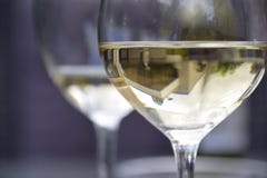 Glasses of wine stock photos Glasses of wine stock photos
