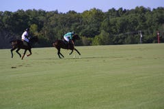Glennon Gallop 2018/ Kraftig Field 2018 stock photo Glennon Gallop 2018/ Kraftig Field 2018 stock photo