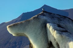 Gletscher in Island stockbilder Gletscher in Island stockbilder