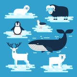 Gli animali artici ed antartici mettono, vector l'illustrazione piana di progettazione Animali polari per infographic Orso bianco illustrazione vettoriale Gli animali artici ed antartici mettono, vector l'illustrazione piana di progettazione Animali polari per infographic Orso bianco illustrazione vettoriale