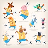 Gli animali da allevamento svegli team giocar a calcioe sulle posizioni differenti Primo gruppo Immagine Stock Libera da Diritti Gli animali da allevamento svegli team giocar a calcioe sulle posizioni differenti Primo gruppo Immagine Stock Libera da Diritti